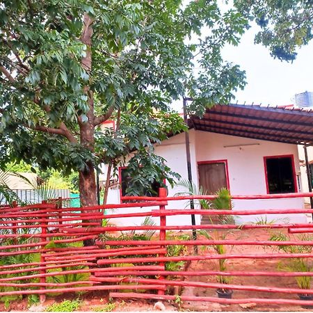 Golden Magnolia Homestay Bangalore Extérieur photo